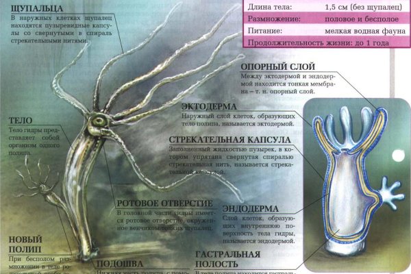Кракен порошок
