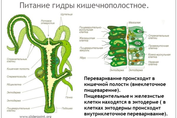 Kraken рабочая ссылка onion