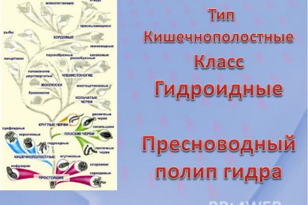 Кракен маркет даркнет только через
